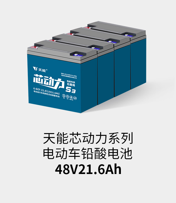 9393体育电池48v20ah