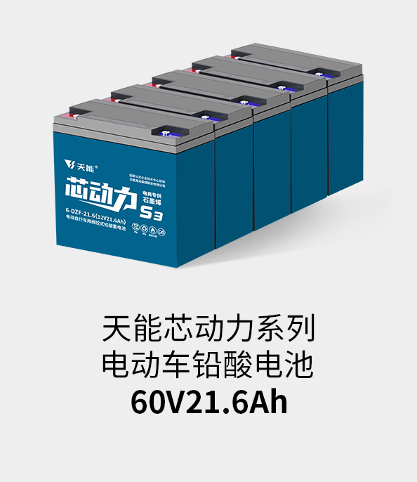 9393体育电池60v20ah