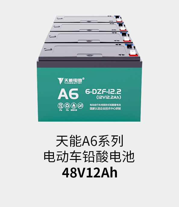 9393体育电池48v12ah