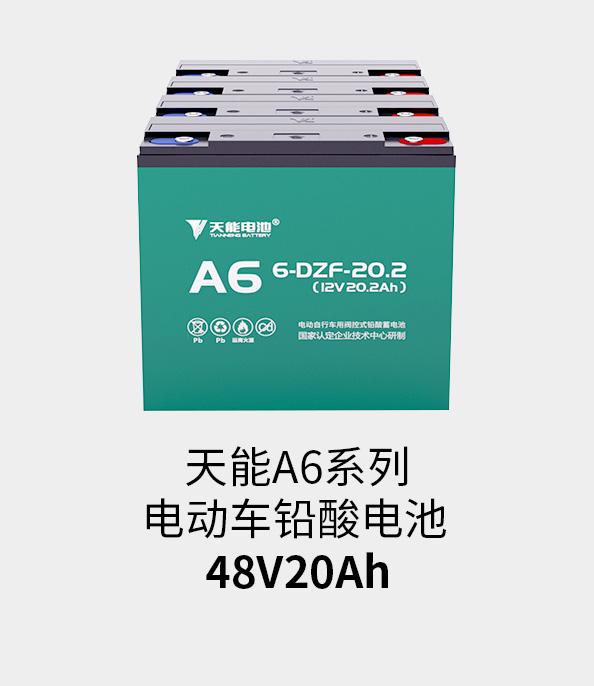 9393体育电池48v20ah