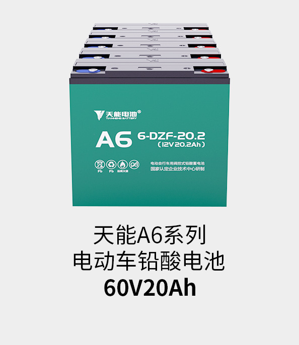9393体育电池60v20ah