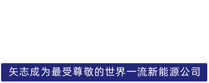 9393体育股份